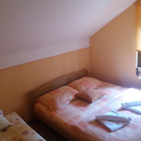 Apartment Niva 兹拉蒂博尔 外观 照片