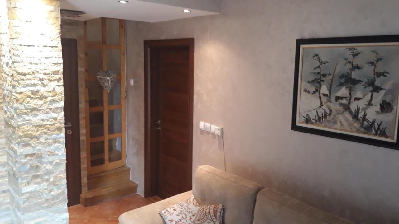 Apartment Niva 兹拉蒂博尔 外观 照片
