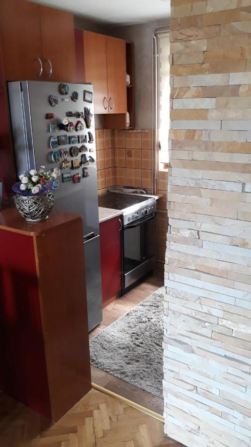 Apartment Niva 兹拉蒂博尔 外观 照片