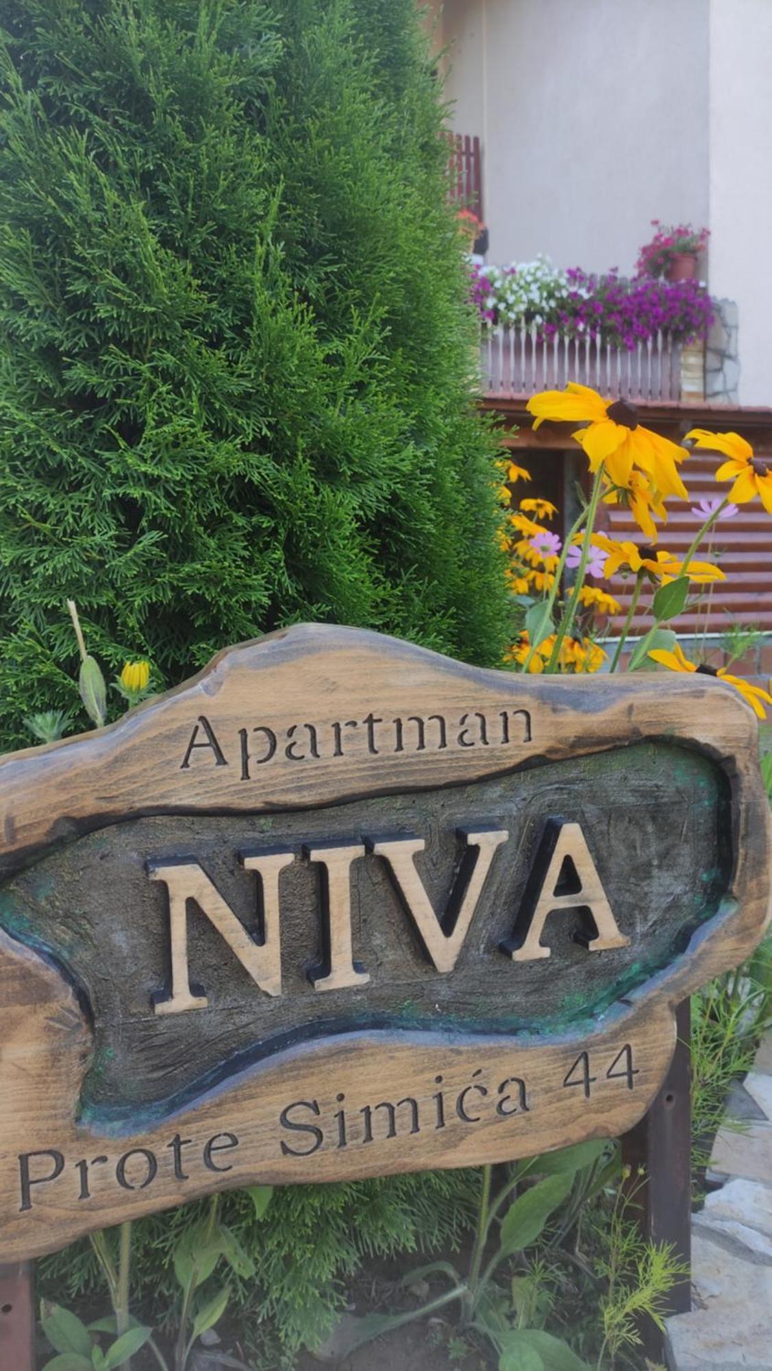 Apartment Niva 兹拉蒂博尔 外观 照片