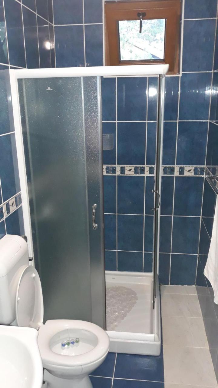 Apartment Niva 兹拉蒂博尔 外观 照片